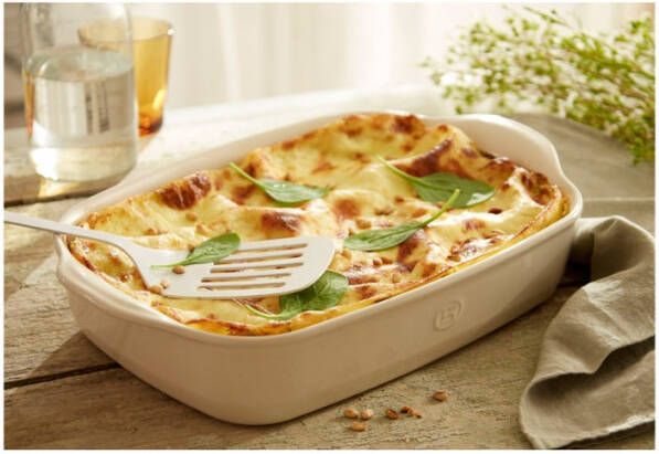 Emile Henry Schaal rechthoekig E box 360x230mm Argile